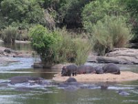 Marion, Romane South Africa 2014 (15 of 63) : KNP Skukuza area, Marion visit